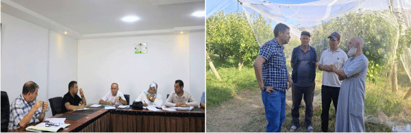  تدخل أجهزة الدولة لكسر سلسلة الوسطاء وضبط المخزون: الشـــروع في تسويــق التفـــاح للمؤسســات العموميـة نــهاية الأسبـــوع