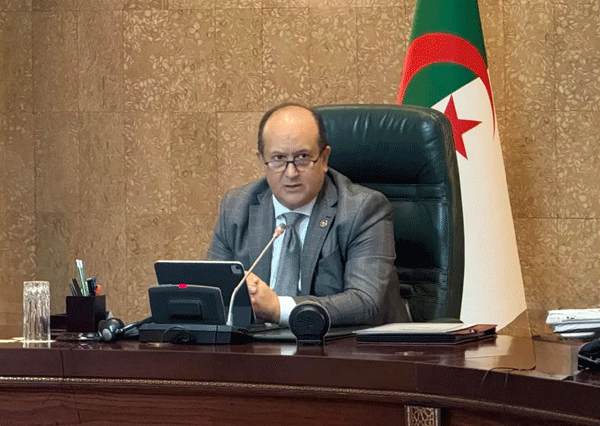 اقتراح تدابير للمساهمة في التكامل الاقتصادي والتجاري الإفريقي:  الحكومة تدرس ورقة طريق لتطوير المؤسســــات المصغـــــــرة