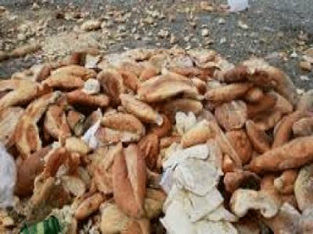تشريع حبذا لو إستوردناه..... من فرنسا !!